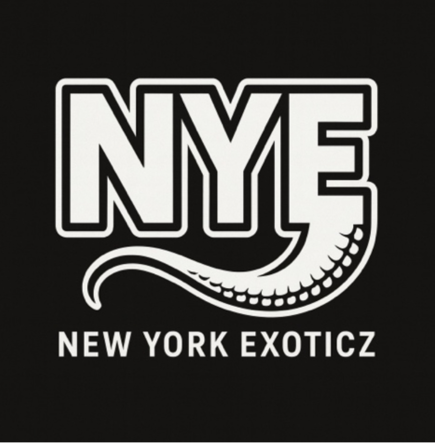 NYE logo
